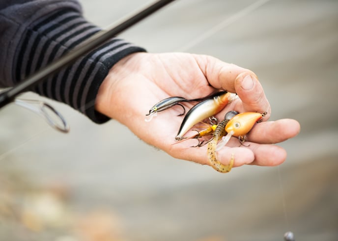 A hand holds a variety of fishing lures, each designed to attract a different type of fish. A fishing pole is shown in the foreground.